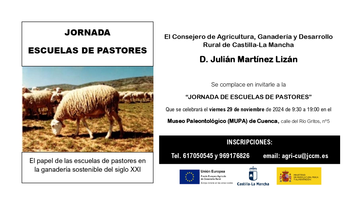 Lee más sobre el artículo Jornada de Escuelas de Pastores